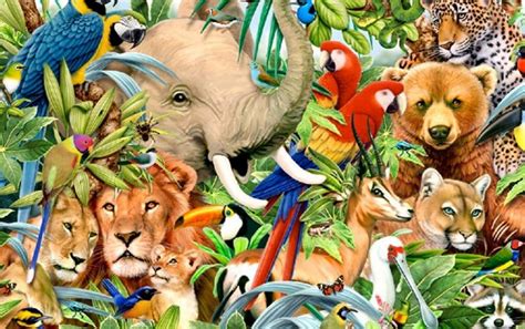 Jungle Animals One Wallpapers Lots Of Animals In One 1280x804
