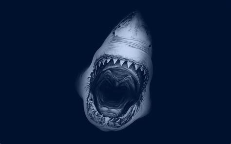 Best shark wallpaper, desktop background for any computer, laptop, tablet and phone. Shark Week Wallpaper