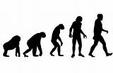 Theory Evolution Monkeys Photos