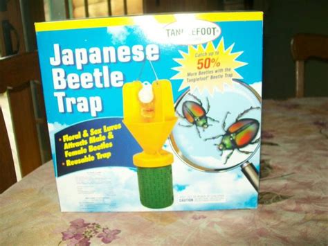 Japanese Beetle Trap Japanese Beetles Trap Japanese Beetles Home