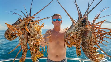 Florida Spiny Lobster Catch And Cook Diving And Lobstering Ft