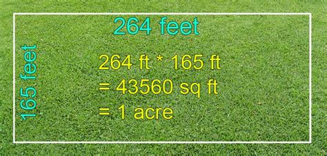 Top 19 How Many Feet Is A Meter 2022
