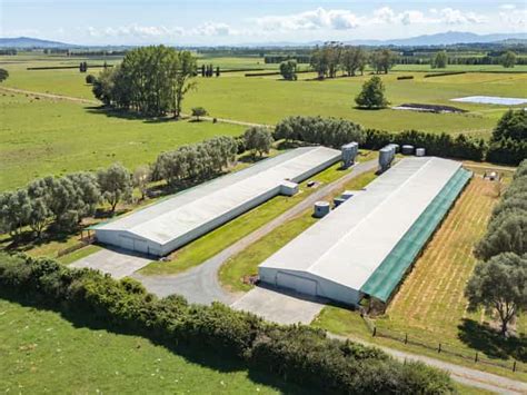 Waikato Rural Dairy Farms For Sale Nz
