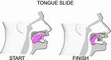 Muscle Exercises Tongue Images