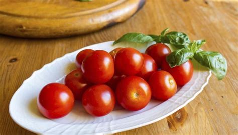 Italian Tomato Varieties Garden Guides