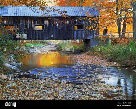 Old Covered Bridge Amid Fall Foliage Near Grafton Vermont In New Stock