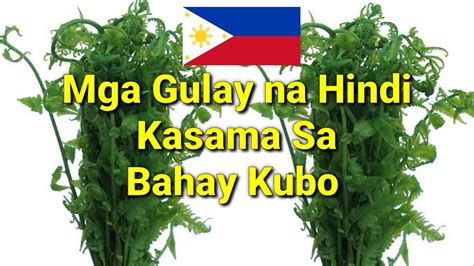 Mga Gulay Sa Pilipinas Matatagpuan Philippines Vegetables Bahay