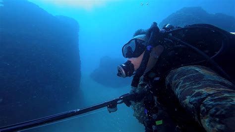 Scuba Diving And Spearfishing Youtube