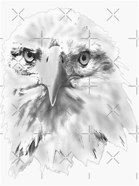 Bald Eagle Head As A Drawing Sticker By Dalyn Redbubble