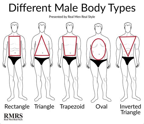 Mens Body Types Chart