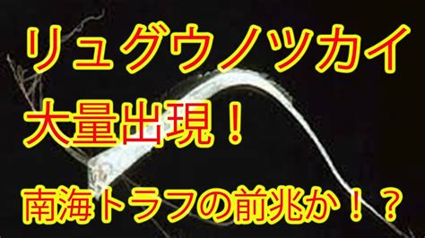 菜鸟教程(www.runoob.com)提供了编程的基础技术教程, 介绍了html、css、javascript、python，java，ruby，c，php , mysql等各种编程语言的基础知识。 同时本站中也提供了大量的在线实例，通过实例，您可以更好的. 【衝撃】リュウグウノツカイが大量に出現!南海トラフ地震の ...