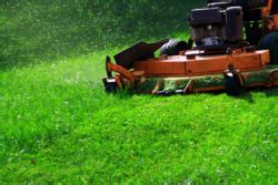 They are always professional, reliable, and dependable. PESTERA PLUS - Pest Control Expert Services - Beltsville ...