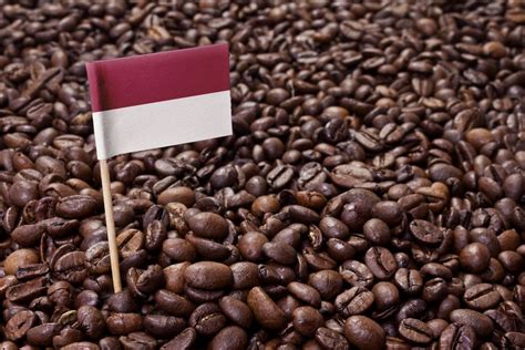 "Kopi Terbaik di Dunia adalah Kopi Jawa" | Good News from Indonesia