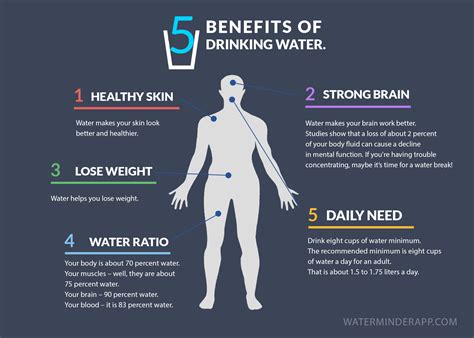 5 Benefits Of Drinking Water Infographic Hydration Tips