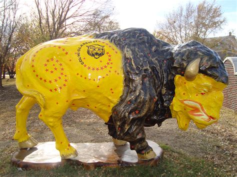 Buffalo, Bartlesville, Oklahoma. | Bartlesville oklahoma, Bartlesville