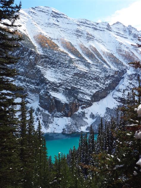 A Snowy Day Around Lake Louise In The Canadian Rockies Tiny Travelogue