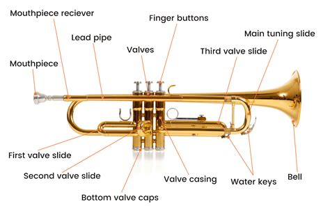A Guide To The Different Parts Of A Trumpet