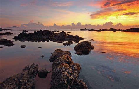 Beach Dawn Dusk Ocean Outdoors Rocks Scenic Sea Sky Sunrise