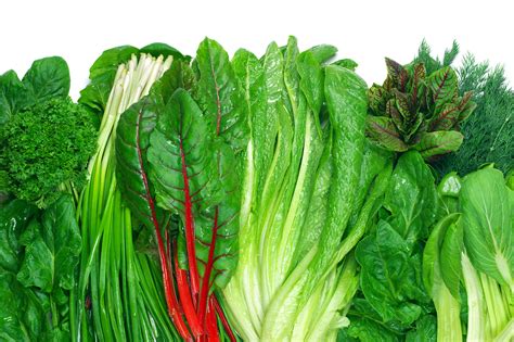 The population in 2019 was 18,958. St. Peter Co-op | Your Guide to Leafy Greens - St. Peter Co-op