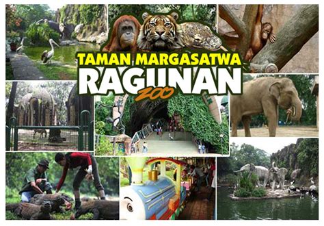 Kebun Binatang Ragunan Indonesia Itu Indah