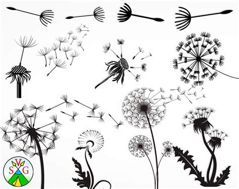 New dandelion designs everyday with commercial licenses. Dandelion clipart svg file free, Dandelion svg file free ...