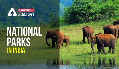 List Of National Parks In India 104 National Parks And 566 Wildlife