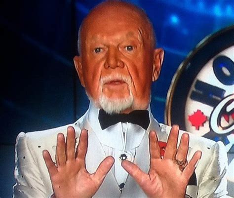 Don Cherry Responds After Being Fired From Sportsnet S Hockey Night In