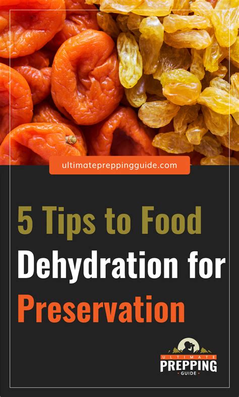 5 Tips To Food Dehydration For Preservation