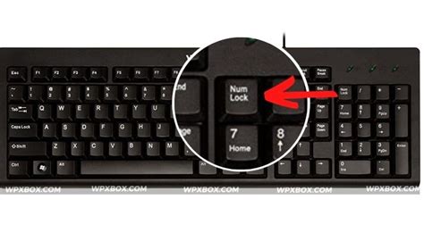 How To Fix Your Keyboard Typing Numbers Instead Of Letters