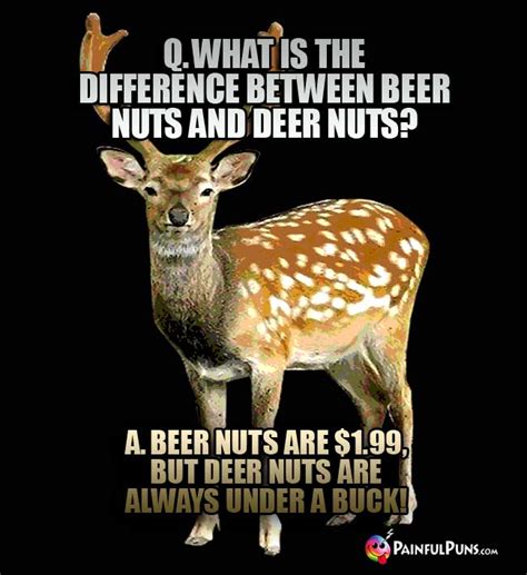 Deer Jokes Moose Puns Elk Humor 2
