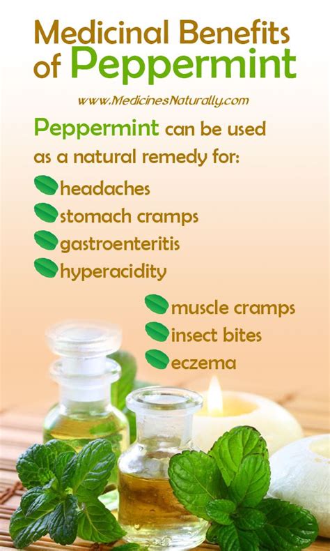 Peppermint Essential Oils Therapeutic Benefits Peppermint Essential