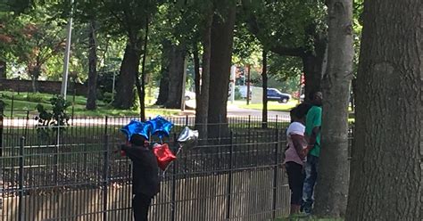 Memphis police: Driver killed in single-car crash on South Parkway