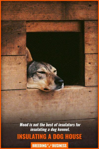 You will find it much easier to insulate a dog house that is not furnished. How To Insulate a Dog House - Best Materials, How To, Tips ...