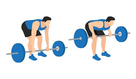 What Is A Barbell Row The Ultimate Guide Gympion