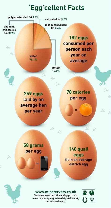 All About Eggs Health And Nutrition Nutrition Health