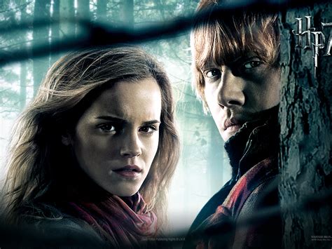He soon became close friends with fellow student harry potter and later hermione granger. Ron Wesley and Hermione Granger - Harry Potter Wallpaper