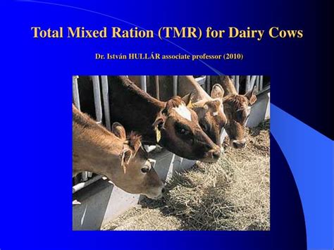 Ppt Total Mixed Ration Tmr For Dairy Cows Dr István HullÁr