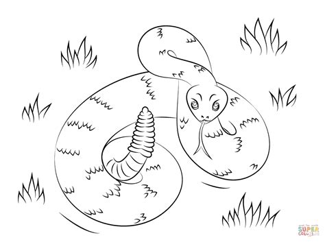 Rattlesnake coloring page | Free Printable Coloring Pages