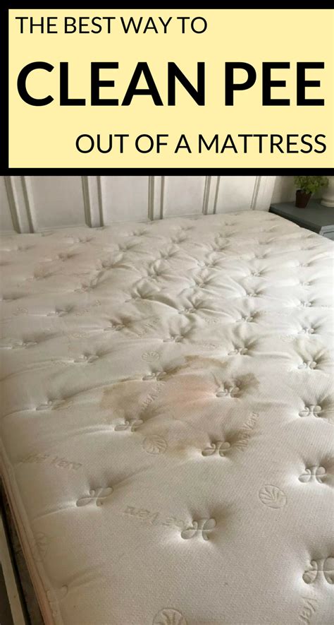 Poor cleaning of the mattress can lead to dust mites in it. The Best Way To Clean Pee Out Of A Mattress ...