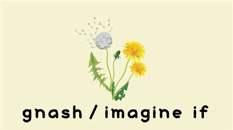 【カタカナ付きカラオケ動画】「imagine If」ナッシュ Youtube
