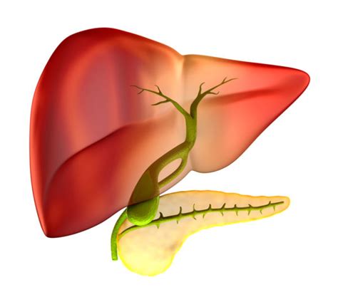 See gallbladder stock video clips. Gallbladder Pain Poses a Potential Problem for Seniors
