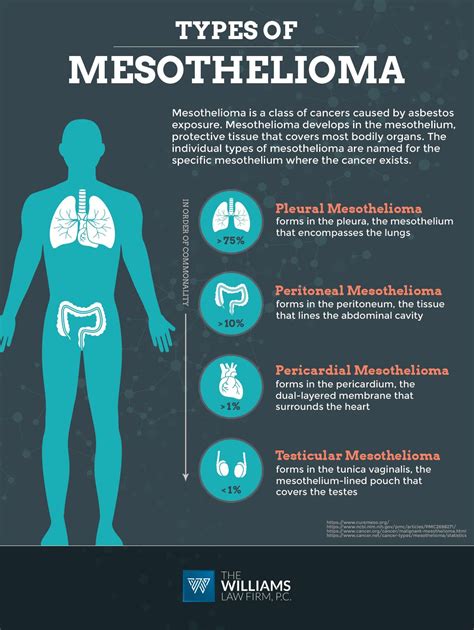 Types of Mesothelioma | The Williams Law Firm Firm