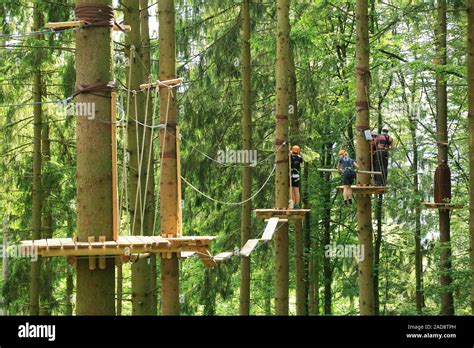 Climbing Forest And High Ropes Course Stock Photo Alamy
