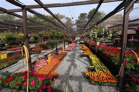 That by itself is no shortage of greenhouse space, but when you throw in the statuary, the pottery, the planters. Home | Country Boy's Home & Garden Center