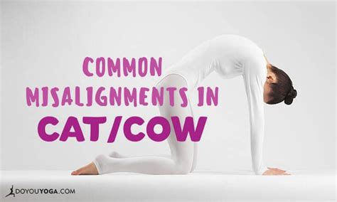 Target body part downward (cow) phase: Cat Cow Pose All Angles