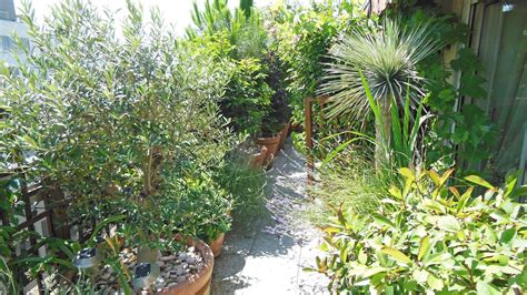Balcon plein sud : plantes et aménagement | Plante, Balcon, Plante terrasse