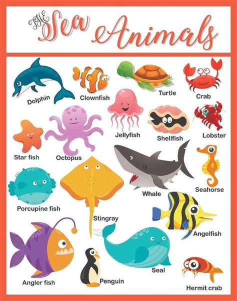 Sea Animals Size Chart