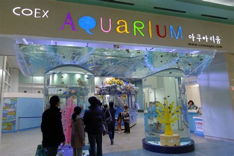 ~love Korea~ Coex Aquarium