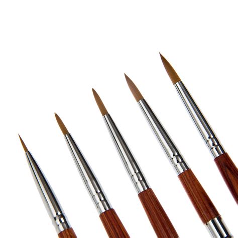 5pcs Watercolor Paint Brushes Round Brush Set For Watercolor Oil