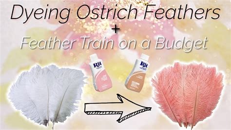Ostrich Feather Train On A Budget Dyeing Feathers Easy Youtube